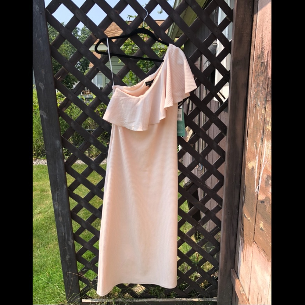 Scarlett blush size 14P dress